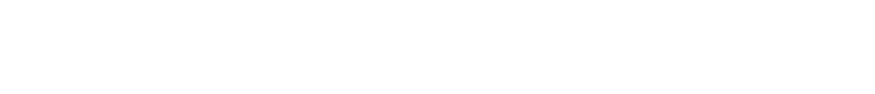 Elise L. Wolff Elementary Spiritwear